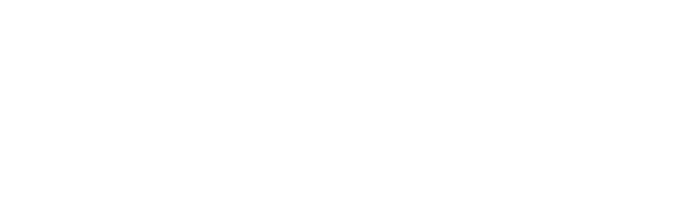 GUTIERREZZ & CO